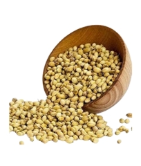 Coriander Seeds